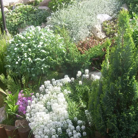 Pensión Zlatá Rybka 3*